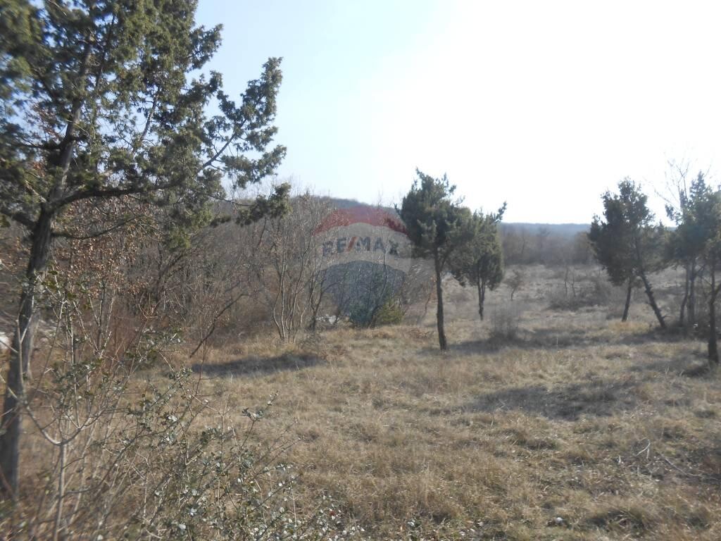 Image 5410360 - 7