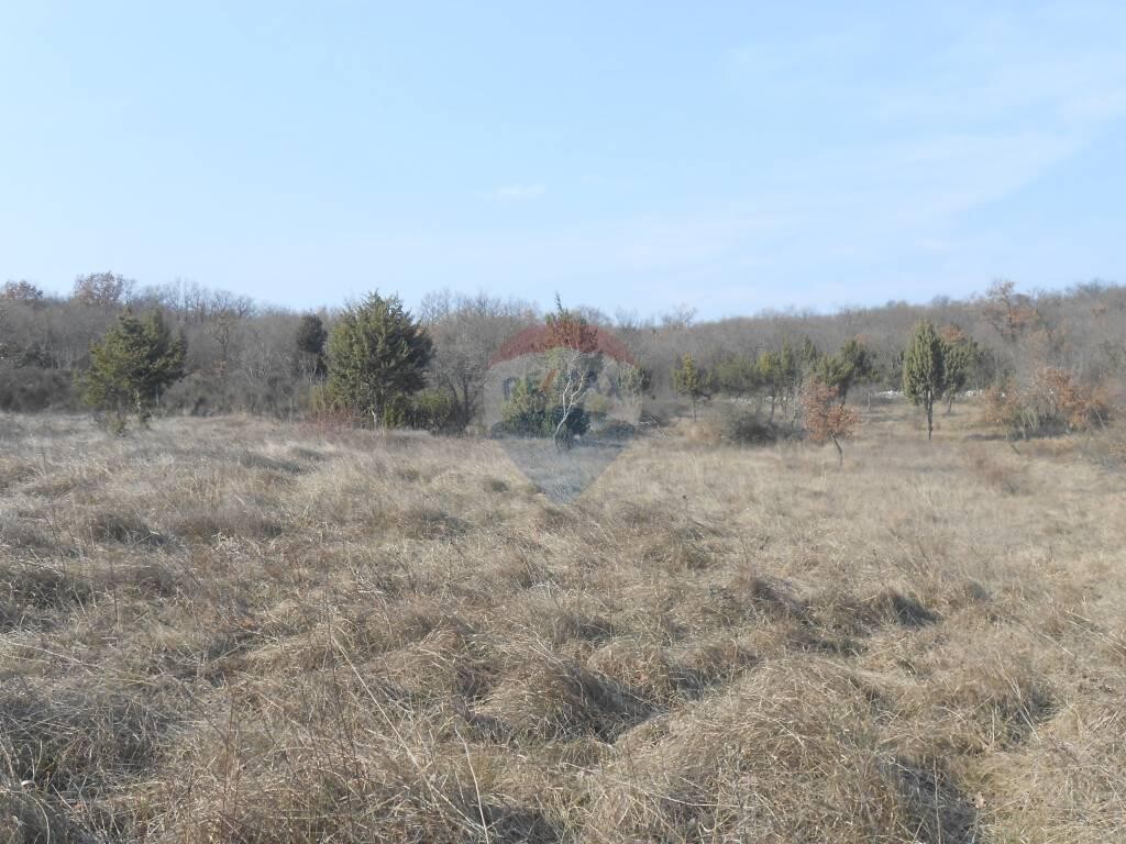 Image 5410360 - 6