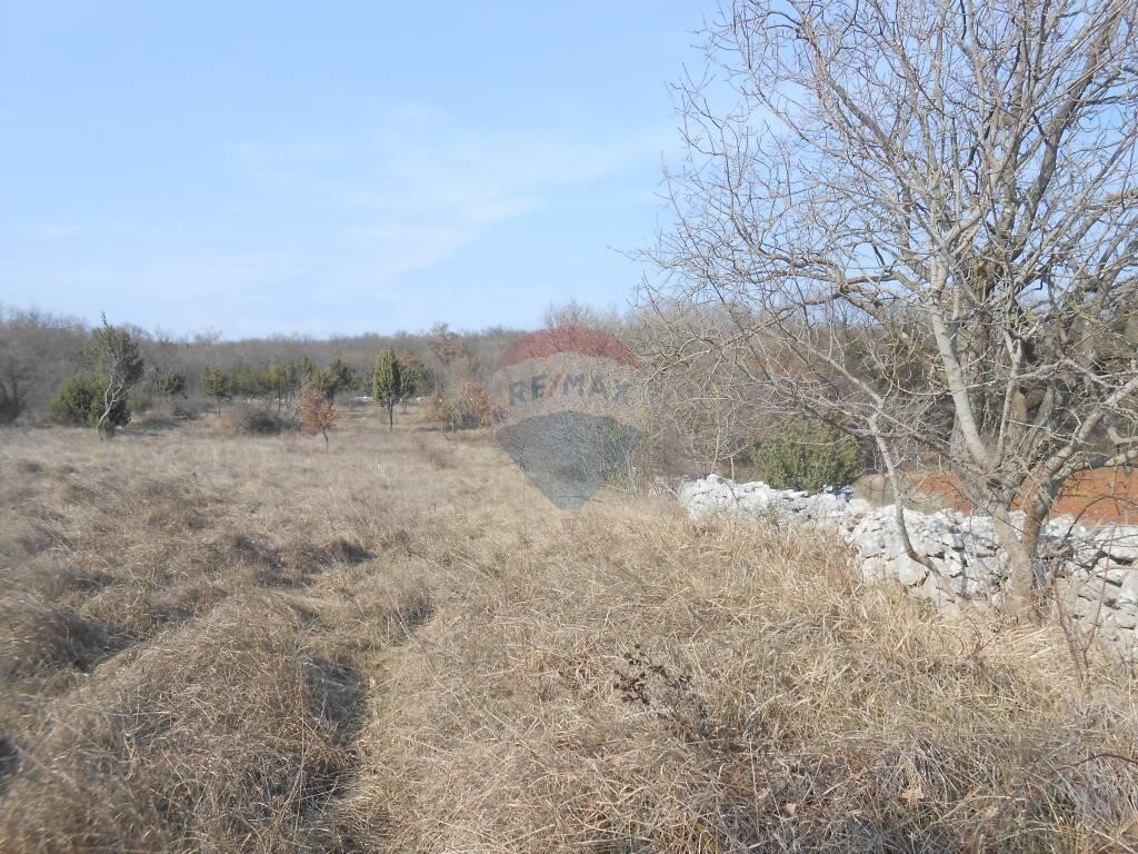 Image 5410360 - 5