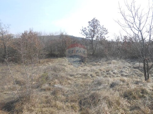 Istra, okolica Rovinja, Sošići, poljoprivredna parcela