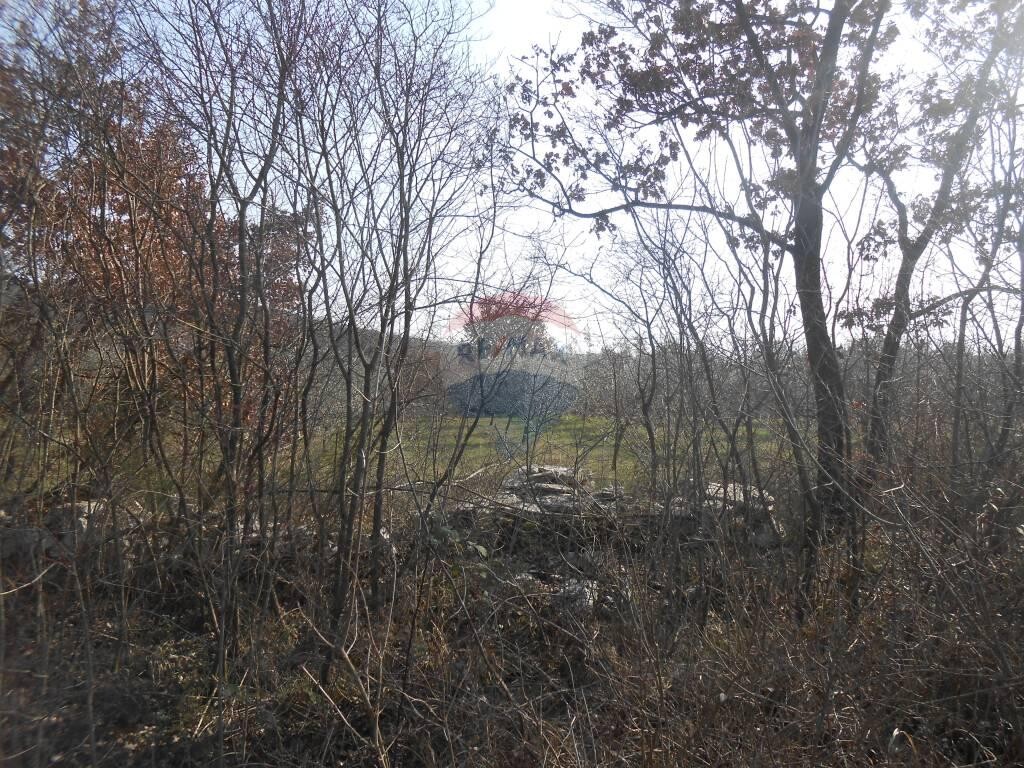 Image 5410360 - 4
