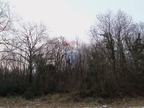 Poljoprivredno zemljište od 15531m2