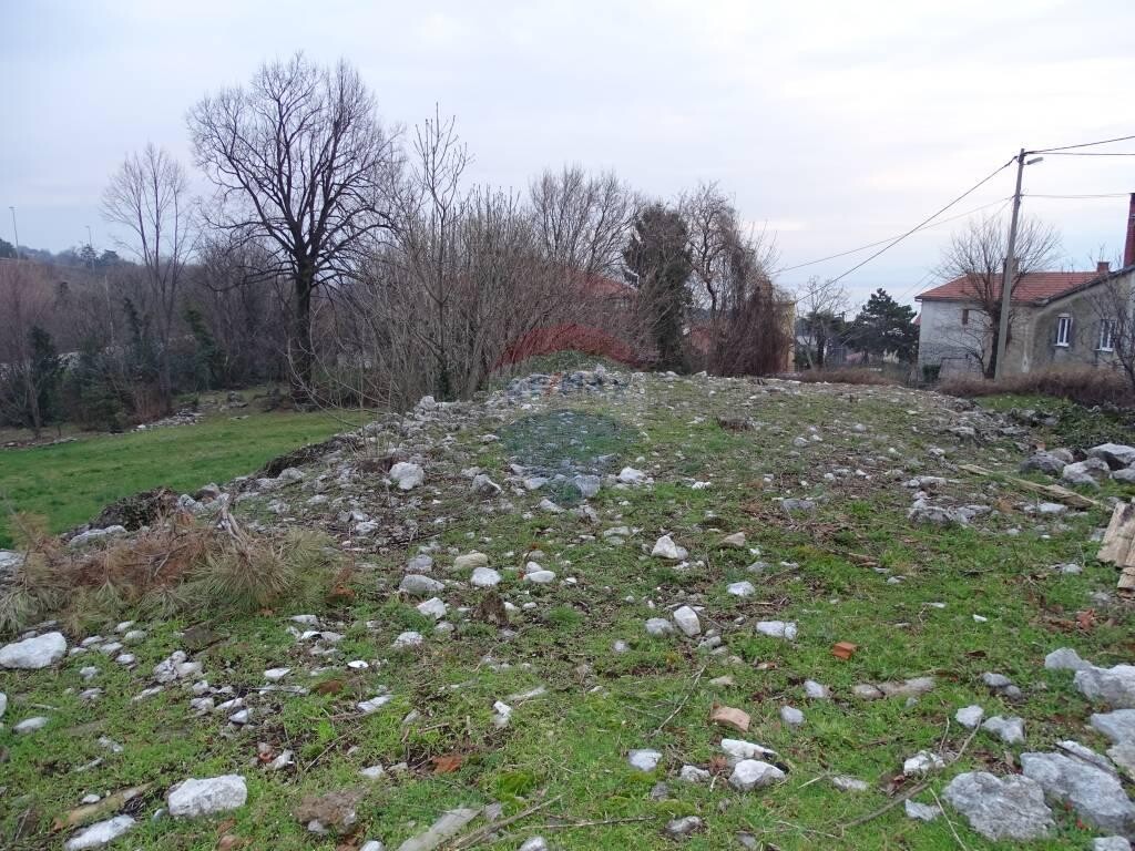 Image 5410374 - 1