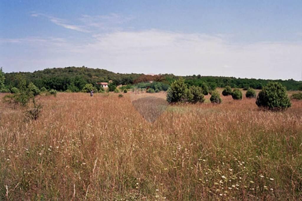 Image 5410376 - 5