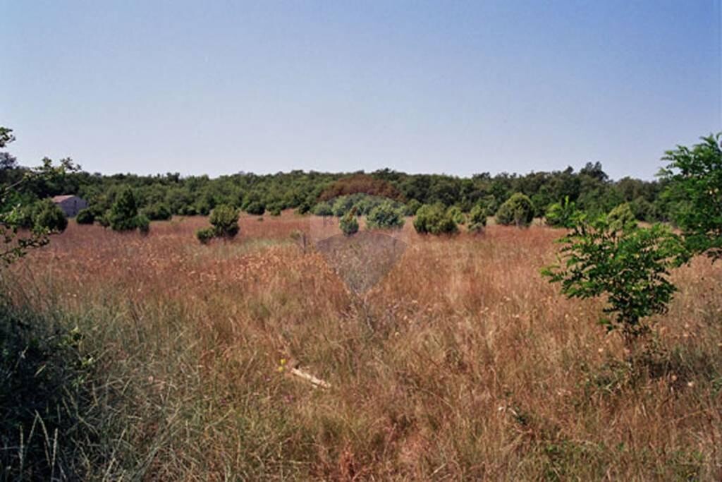 Image 5410376 - 3