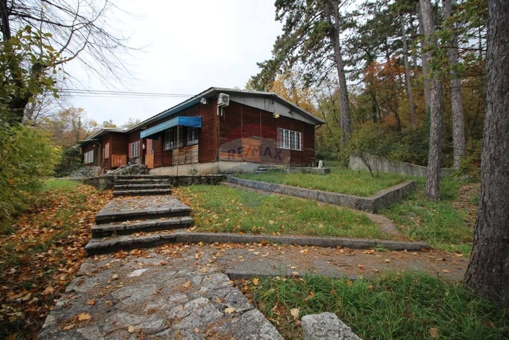 Image 5410405 - 4