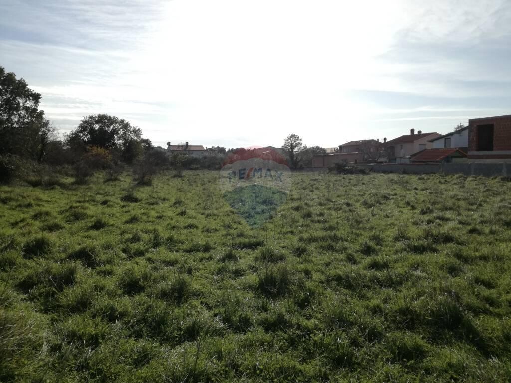 Image 5410417 - 2