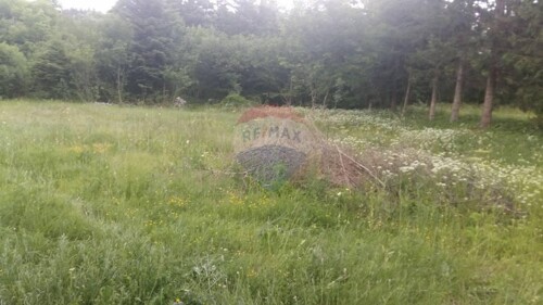 Maševo, bribirska šuma, negrađevinsko zemljište