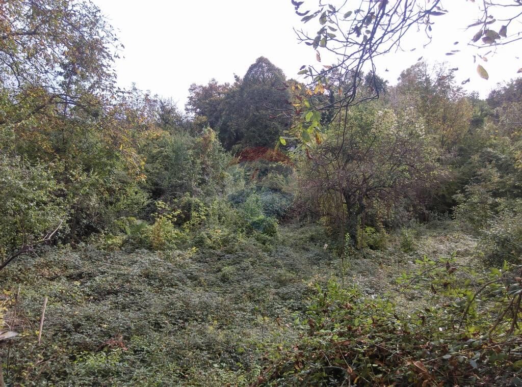 Image 5410444 - 1