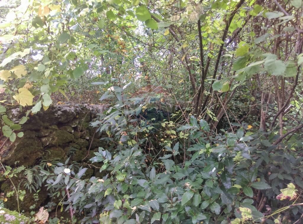 Image 5410444 - 6