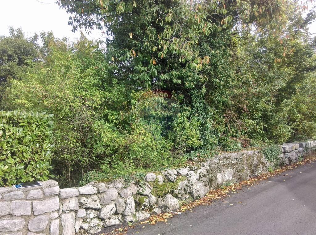 Image 5410444 - 2
