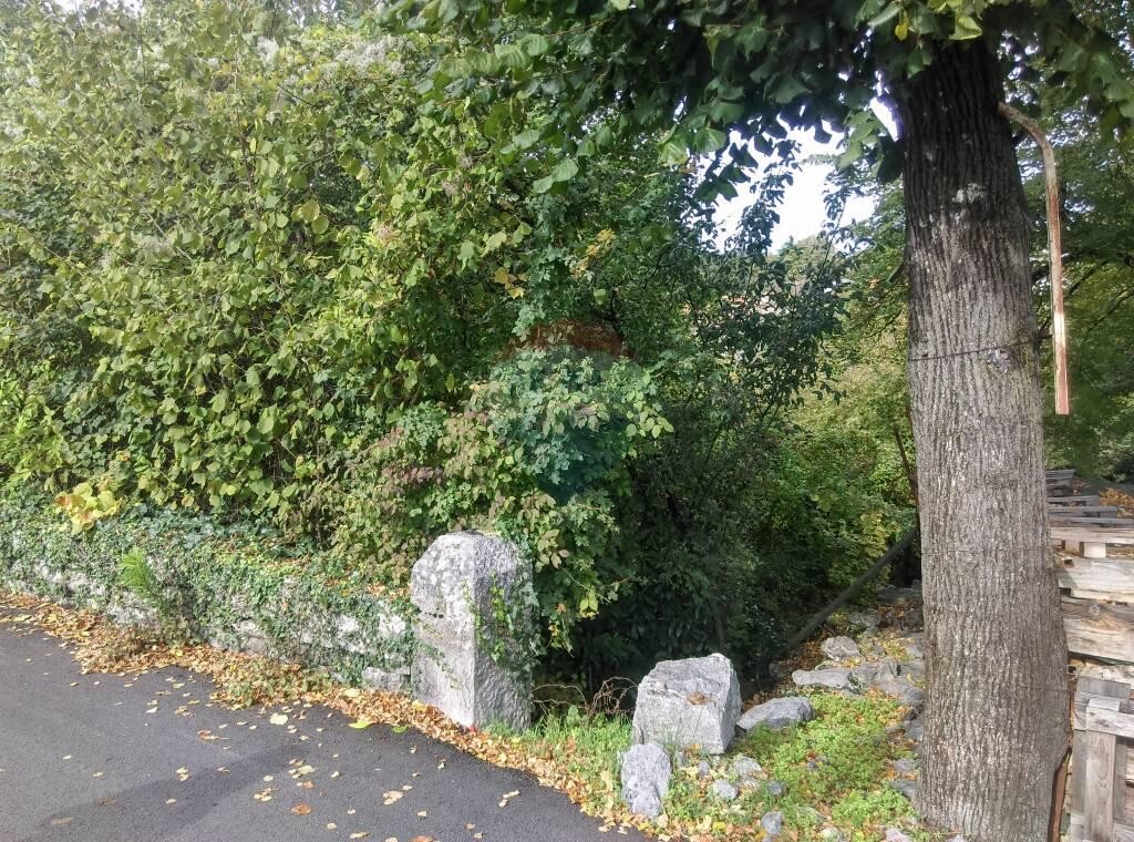 Image 5410444 - 3
