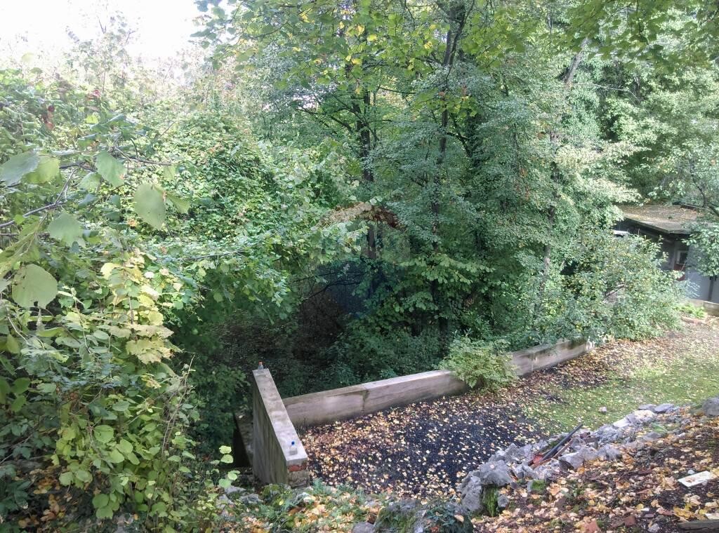 Image 5410444 - 5