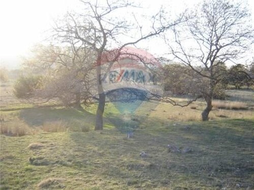 Supetarska Draga - teren