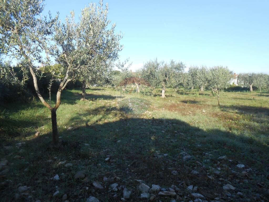 Image 5410453 - 4