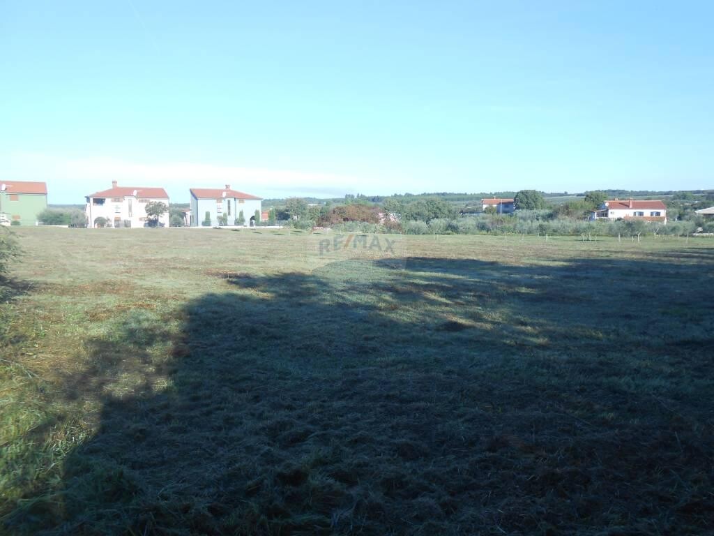Image 5410454 - 9