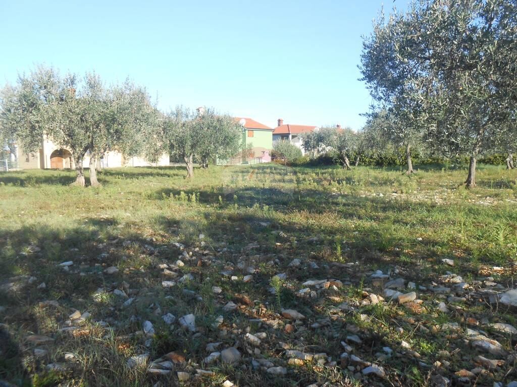 Image 5410454 - 3