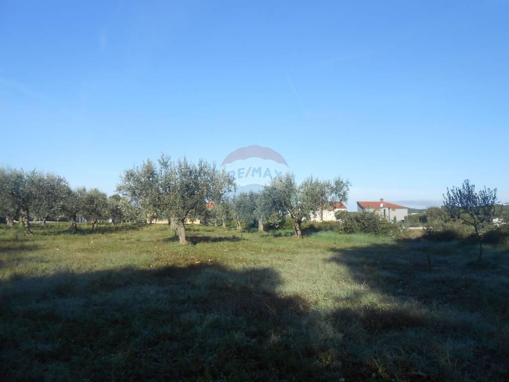 Image 5410454 - 7
