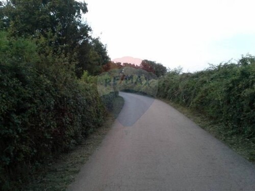 Thumbnail 5410463 - 5