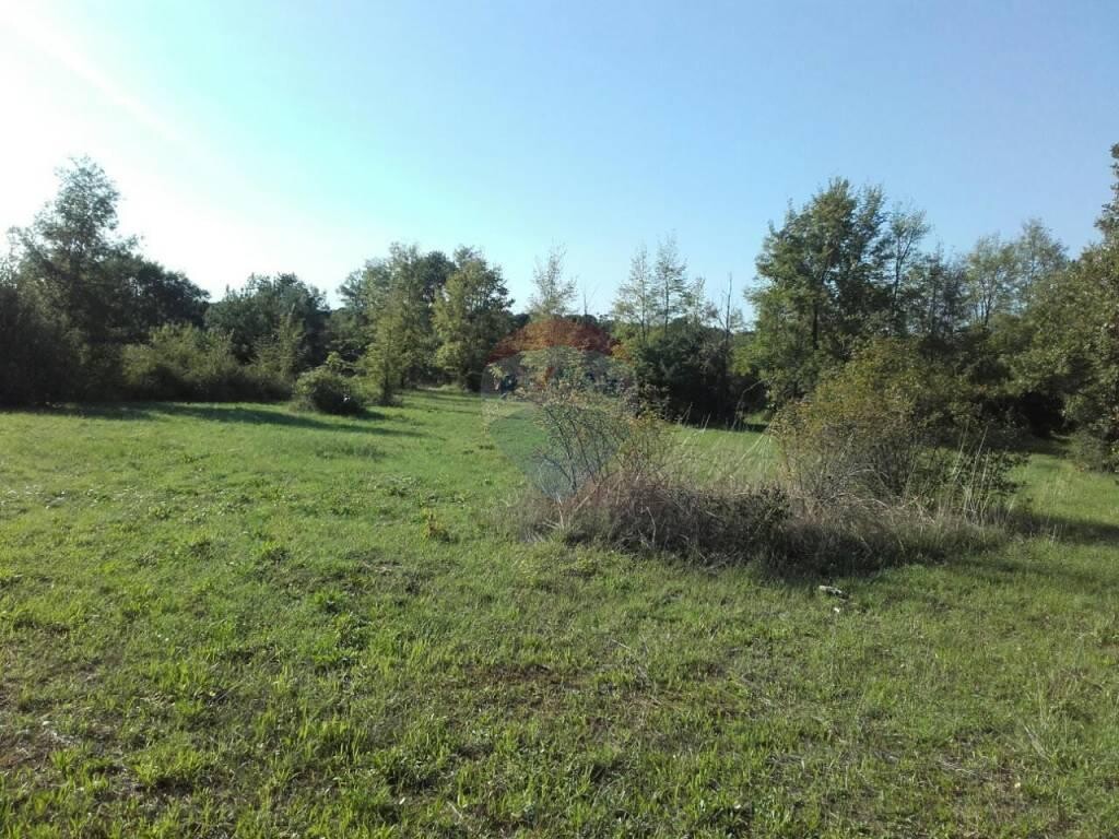Image 5410468 - 3