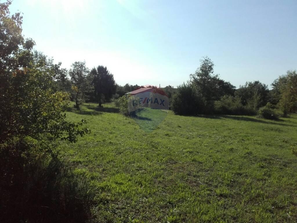 Image 5410468 - 5