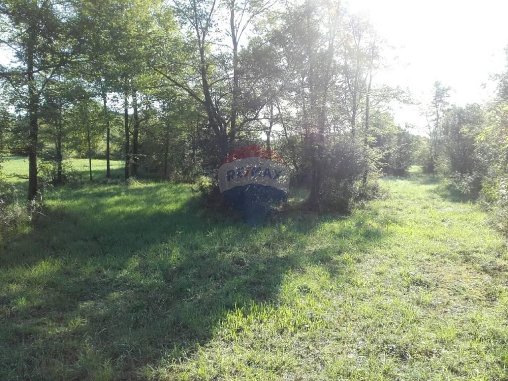 Image 5410468 - 4
