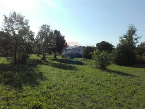 ROVINJ, POLJOPRIVREDNA PARCELA 6234 M2