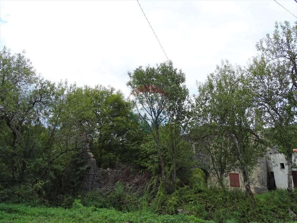 Image 5410474 - 5