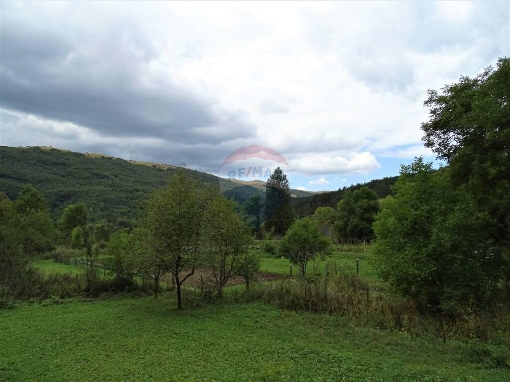 Image 5410474 - 11
