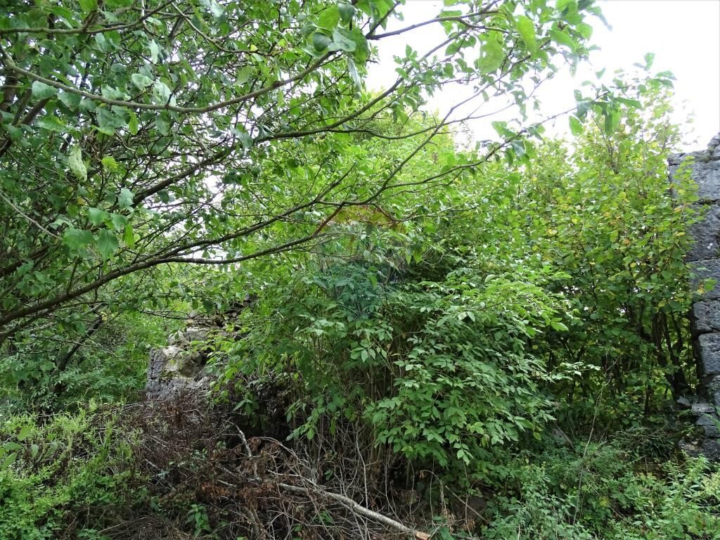 Image 5410474 - 3