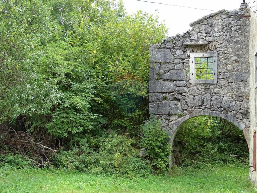 Image 5410474 - 9