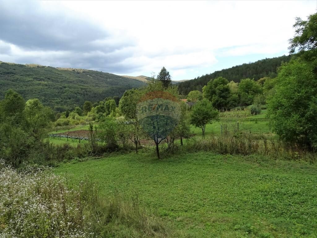 Image 5410474 - 14