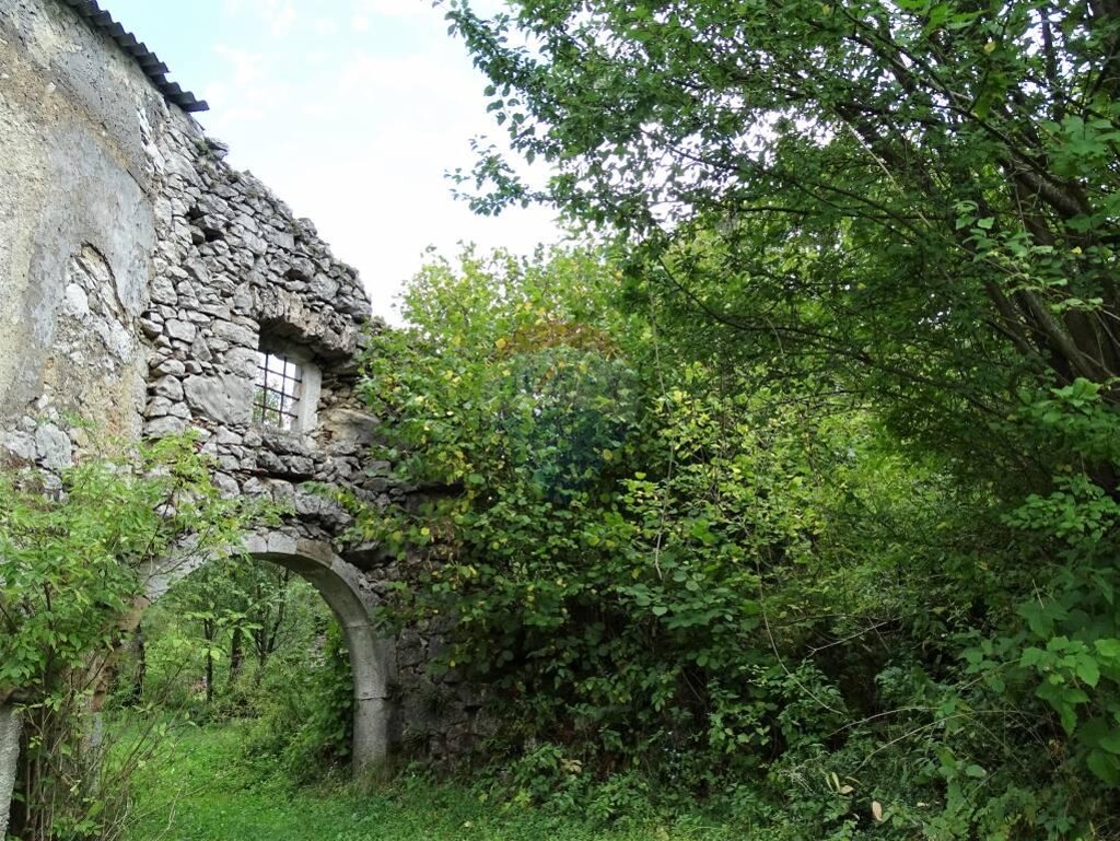 Image 5410474 - 4