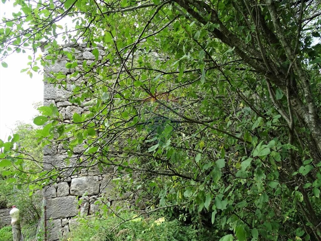 Image 5410474 - 7