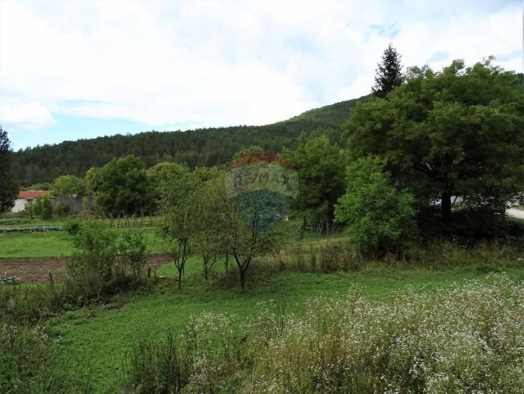 Image 5410474 - 13