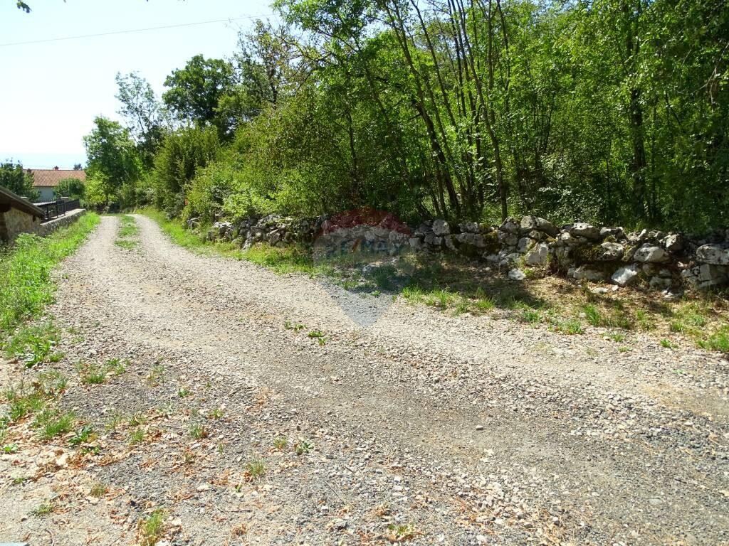 Image 5410477 - 1
