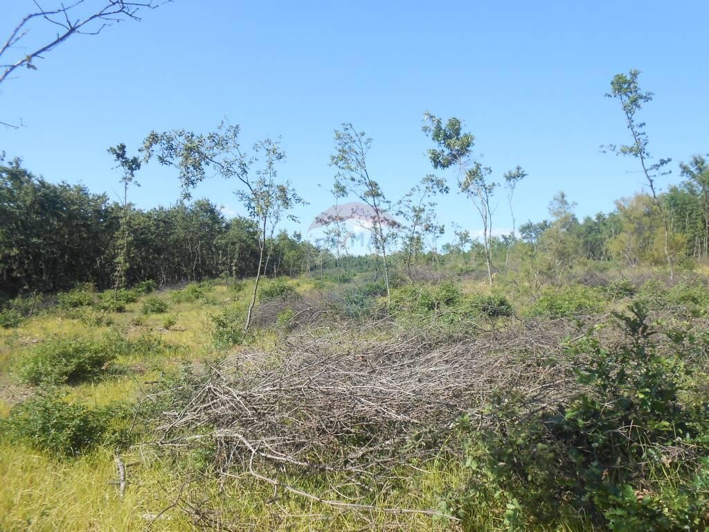 Image 5410493 - 3
