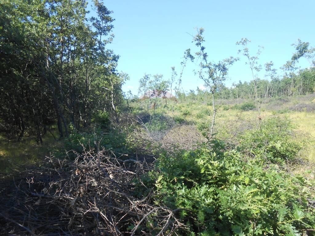 Image 5410493 - 4