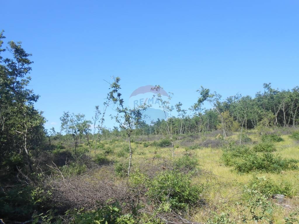 Image 5410493 - 5