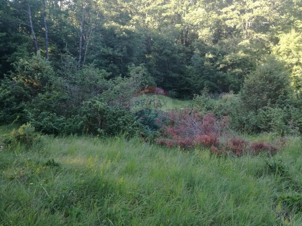 Image 5410494 - 1