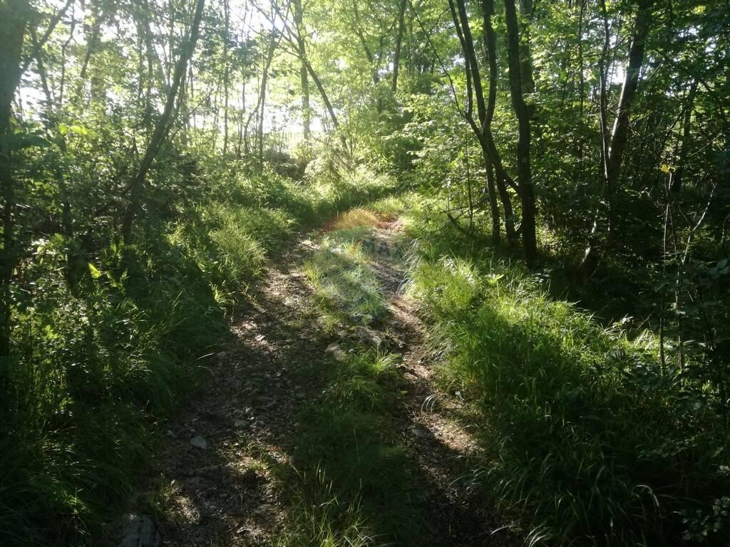 Image 5410494 - 4