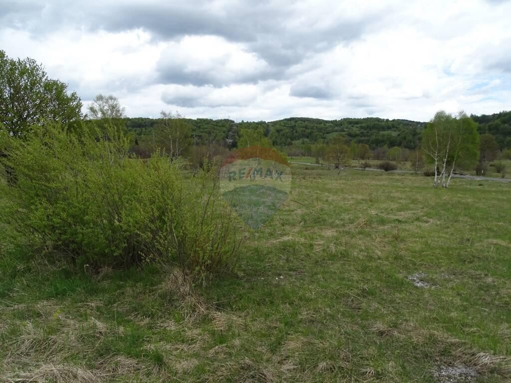 Image 5410524 - 2