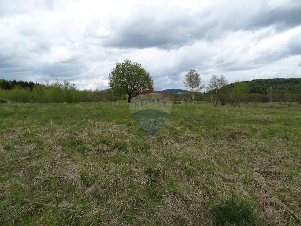 Image 5410524 - 4