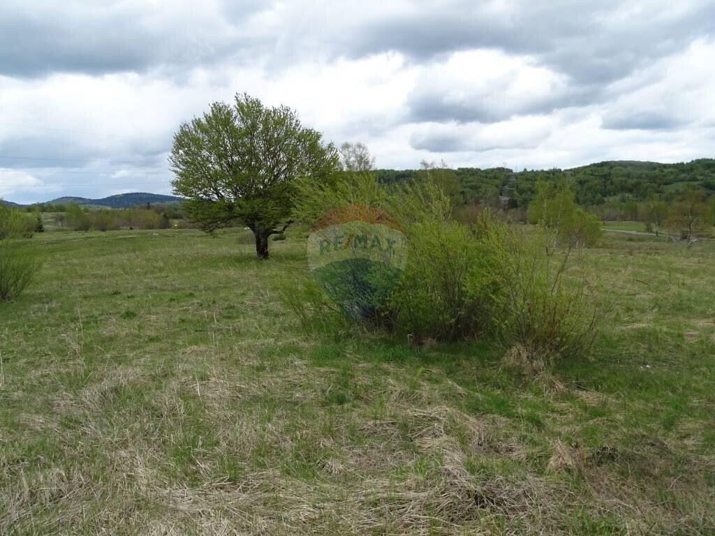 Image 5410524 - 1