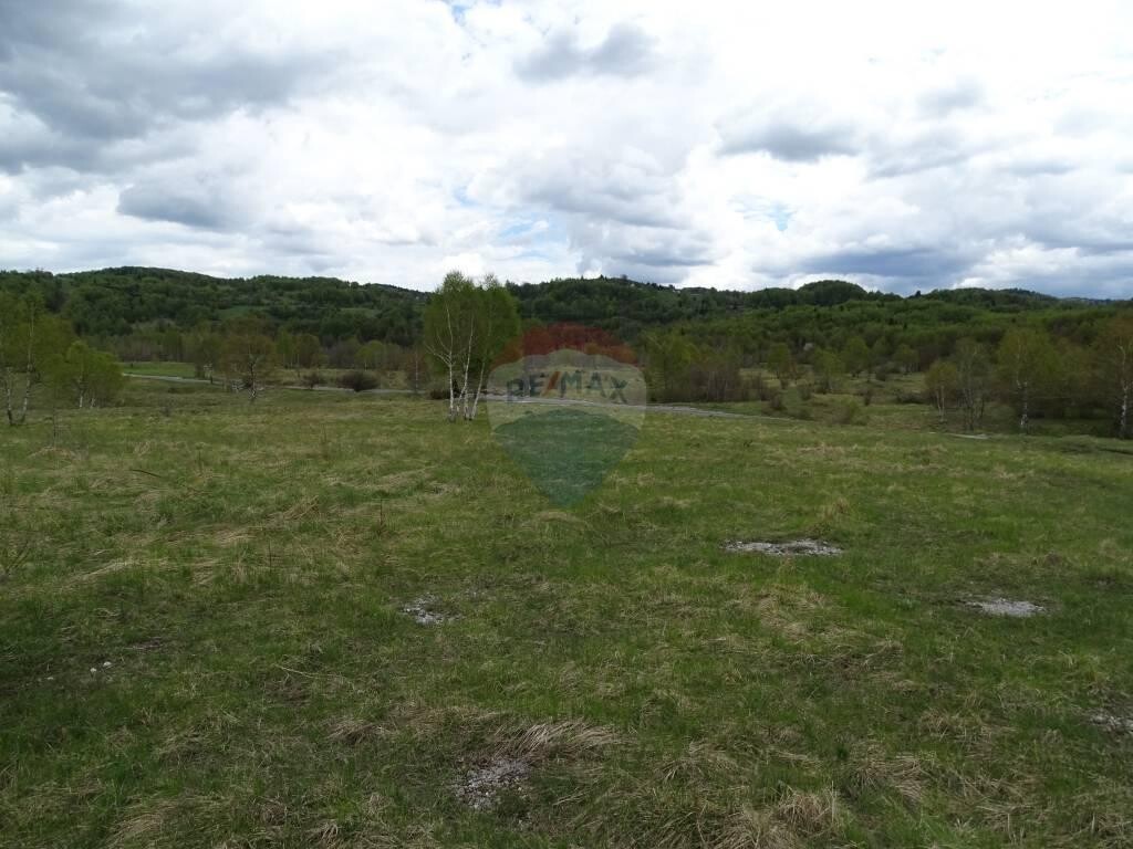Image 5410524 - 6