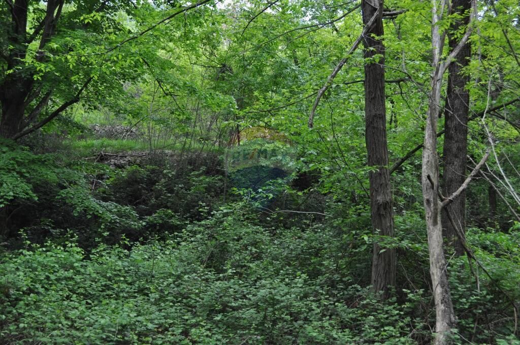 Image 5410526 - 3