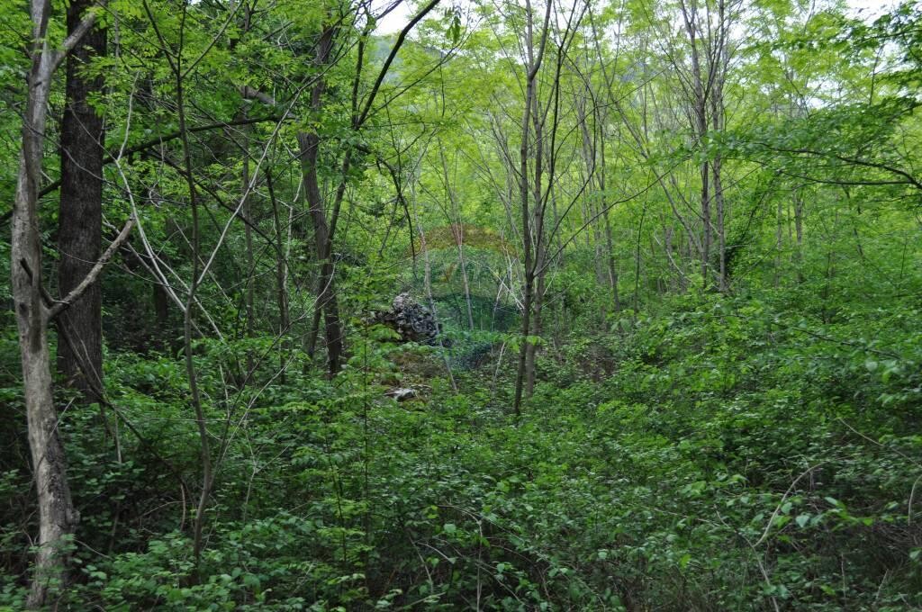 Image 5410526 - 2
