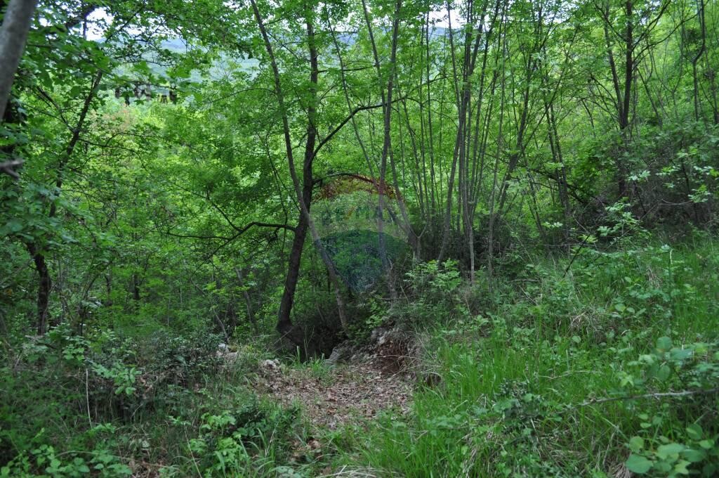 Image 5410527 - 1