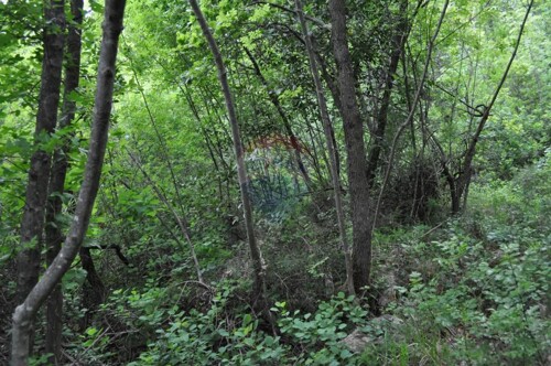 Thumbnail 5410527 - 6