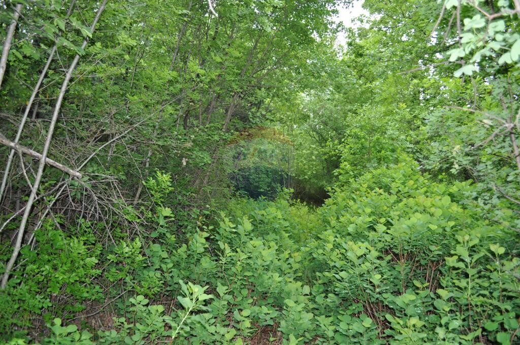 Image 5410527 - 4